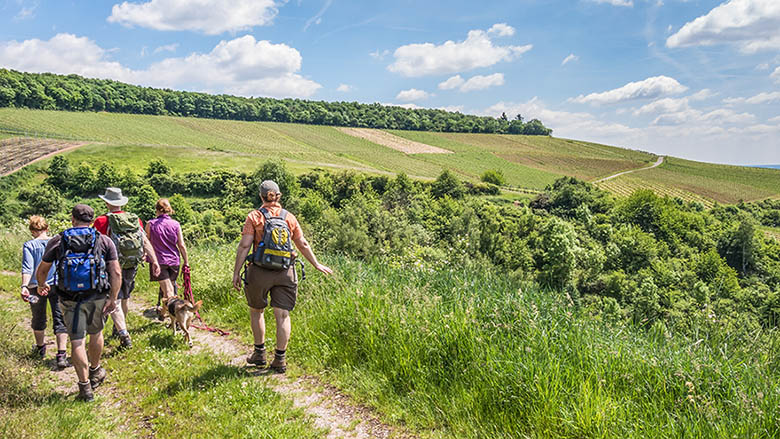 Fünf Leute wandern auch Hügellandschaft